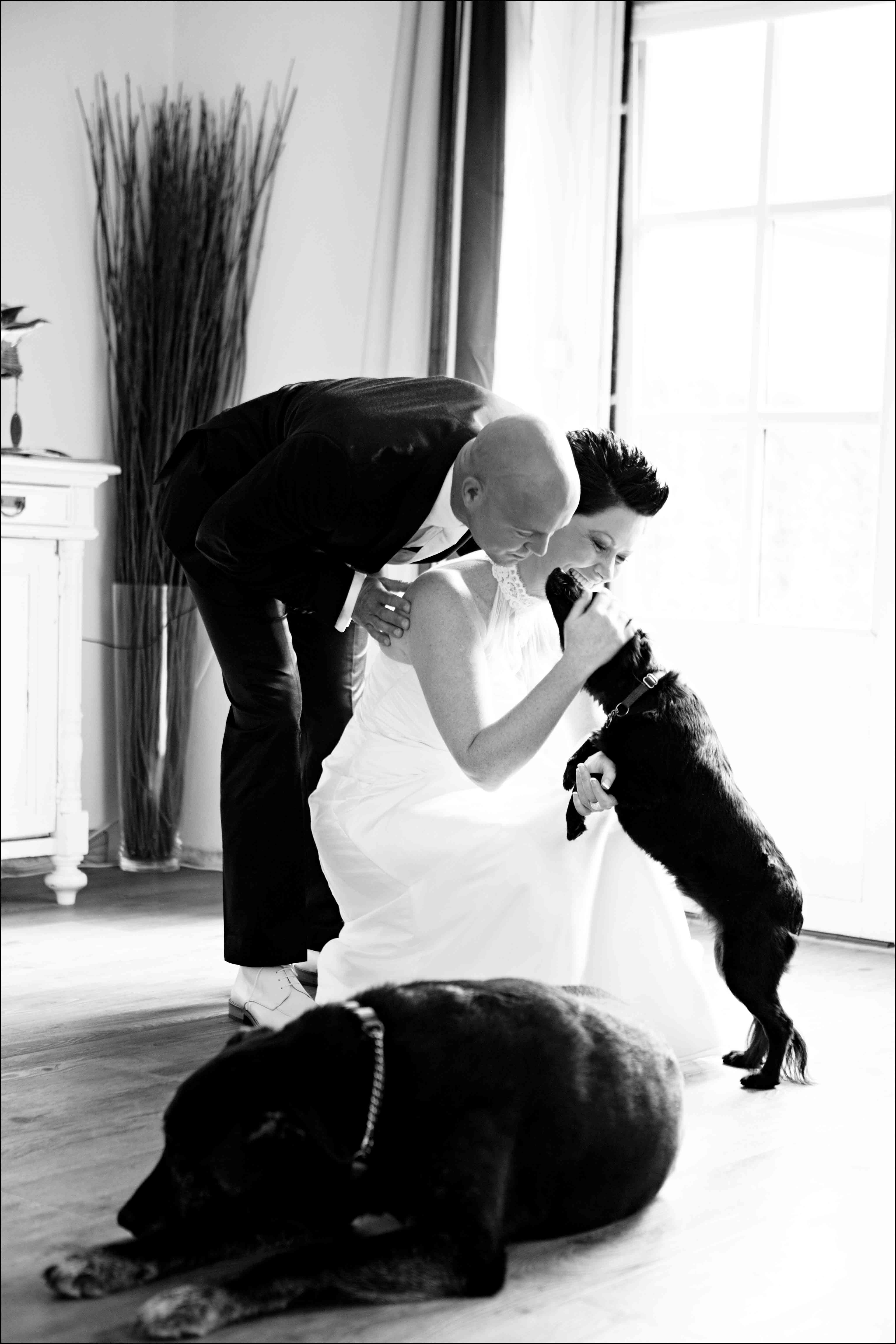 bruidspaar met hond bruidspaar met hond