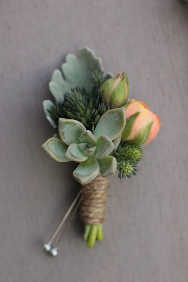 corsage cactus en vetplant