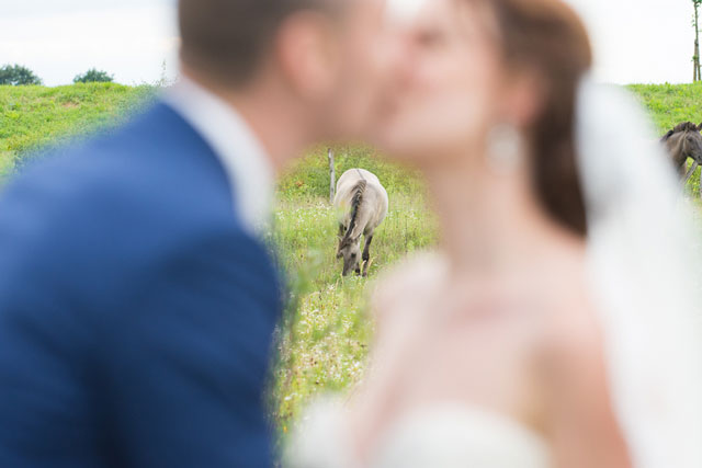 bruiloft paarden